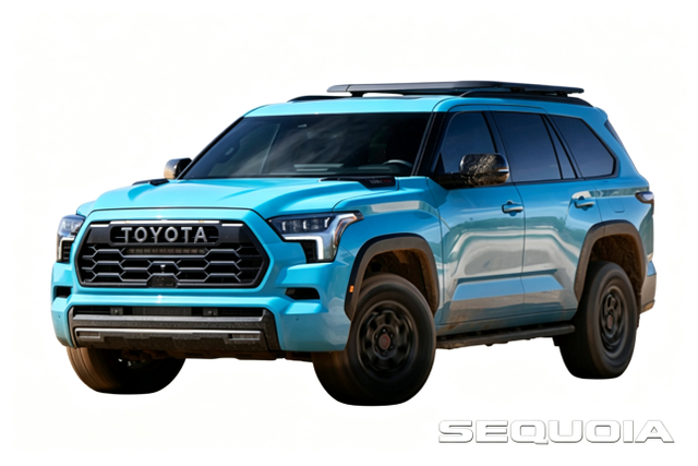 Sequoia